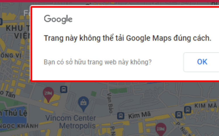 Tại sao Google Maps API bị chặn tại thị trường Việt Nam?